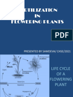 3.3 Fertilization in Plants and Animals