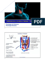 Hormonas Tiroides y Paratiroides