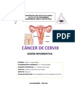 Cáncer de Cervix S.I. Gineco