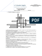 Taller Biologia 10