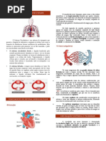 Sistema cardiovascular resumo