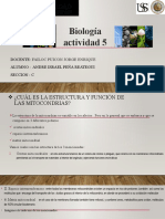 Atvidad 5 Alumno Andre Israel Peña Reategui