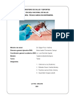 Informe Dengue