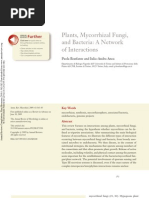 Download Plants Mycorrhiza and Bacteria by lecoquinami3223 SN53429499 doc pdf