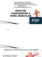 Diapositivas de Deporte