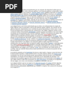 Anatomía y cultura de las nalgas | PDF | Nalgas | Anatomía humana