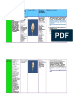 Proceso Caracteristicas Estructuras Cere