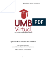 2.1 Texto Guía Aplicación de Los Conceptos en El Sector Real (1)