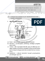 REPRODUCTIVE SYSTEM DOCUMENT