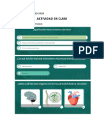 Actividad en Clase 15-10-2020 (Sistema Nervioso)