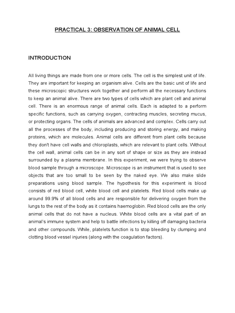 Introduction Lab Report Mic Download Free PDF Meiosis Mitosis