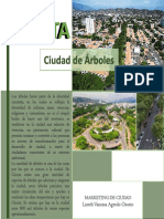 Cúcuta Infografía