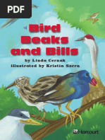 Bird Beaks and Bills