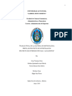 PROYECTO DE INVERSION PRIVADA METODOLOGIA(Recuperado)