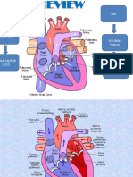 Cardiovaskuler (Jantung Dan Sirkulasi Pembuluh Darah)