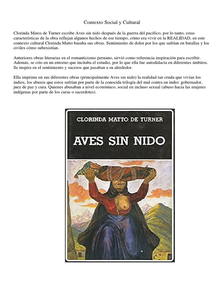 Monografía Clorinda Matto De Turner Aves Sin Nido Pdf