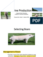 Swine Production Guide: Selecting & Managing Boars