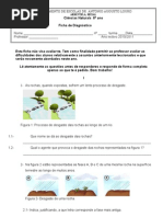 Teste diagnóstico de CIÊNCIAS NATURAIS do 8º ano