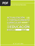 CERTIFICADO DE HONORABILIDAD
