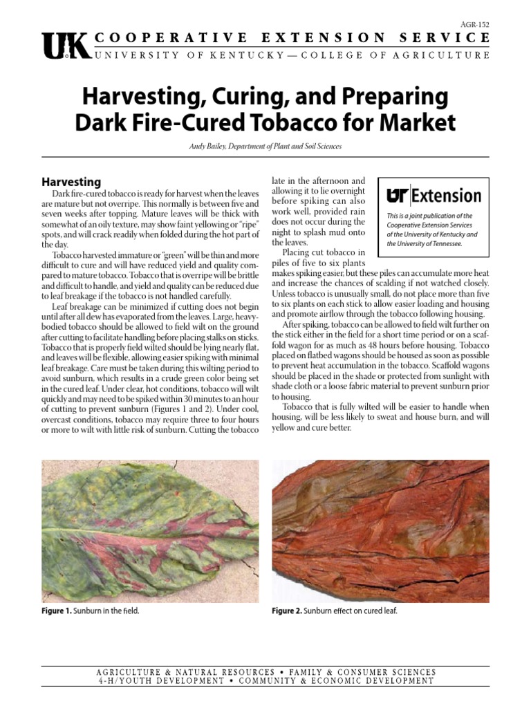 truth about tobacco General Tobacco Facts Social Media Message Library
