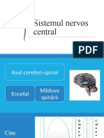 Sistemul Nervos Central. Maduva Spinarii