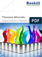 Titanium Minerals Industry Report