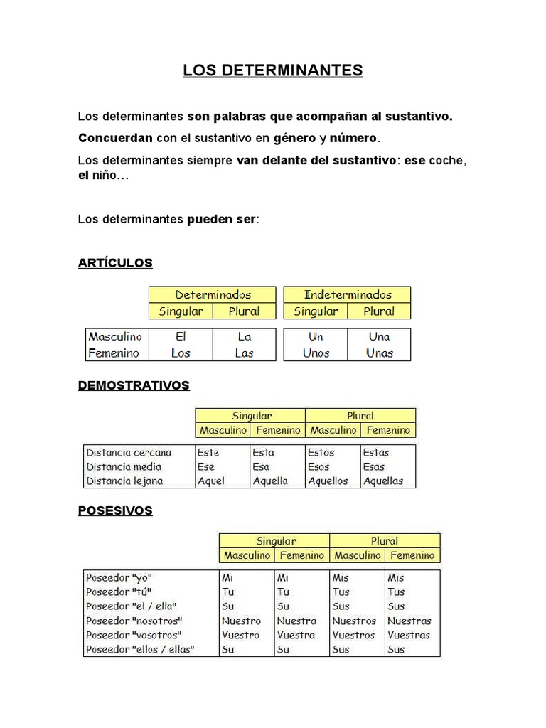 Los determinantes y sus tipos: artículos, demostrativos, posesivos ...