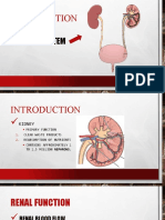 The Urinary System and Introduction to Urinalysis (2)