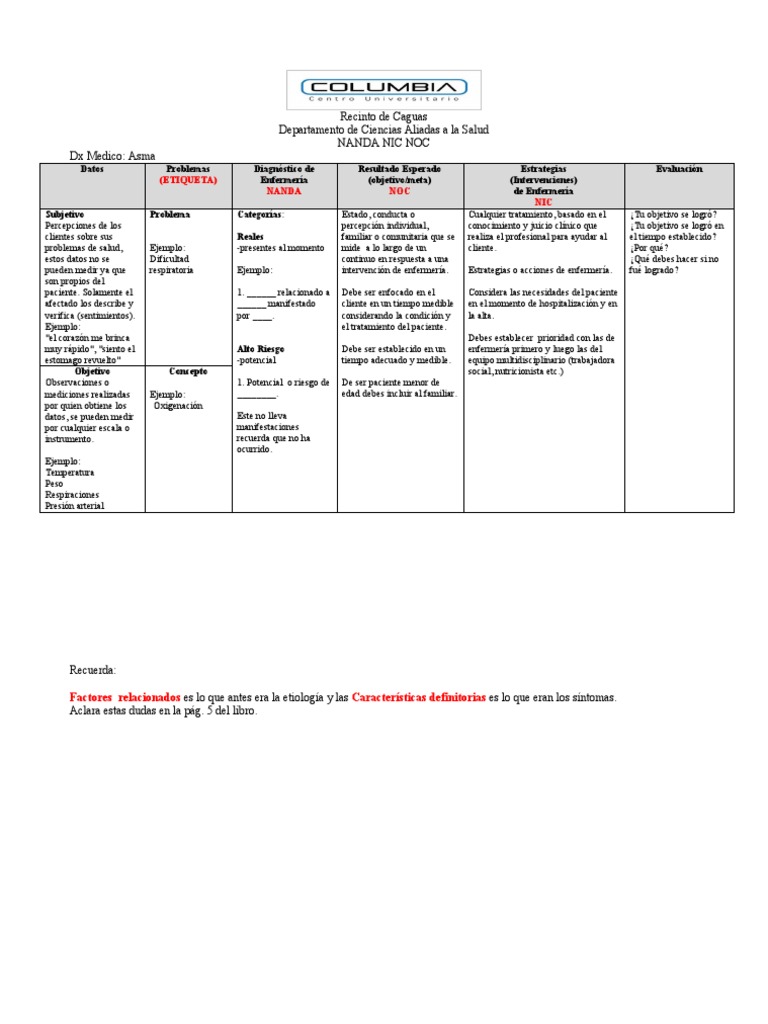 Plan de Cuidado Modelo | PDF | Cuidado de la salud | Enfermedades y ...