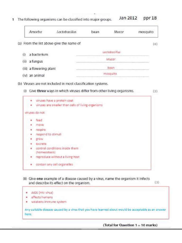 Bio Model 1 | PDF