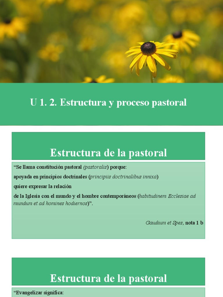 Estructura y Proceso de la Pastoral | PDF | Iglesia Católica | Divinidad