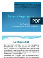 Ictiologia Amazónica - Sistema Respiratorio 5° Clase