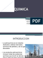 Petroquimica Expo