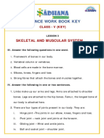 Skeletal and Muscular System Work Book Key