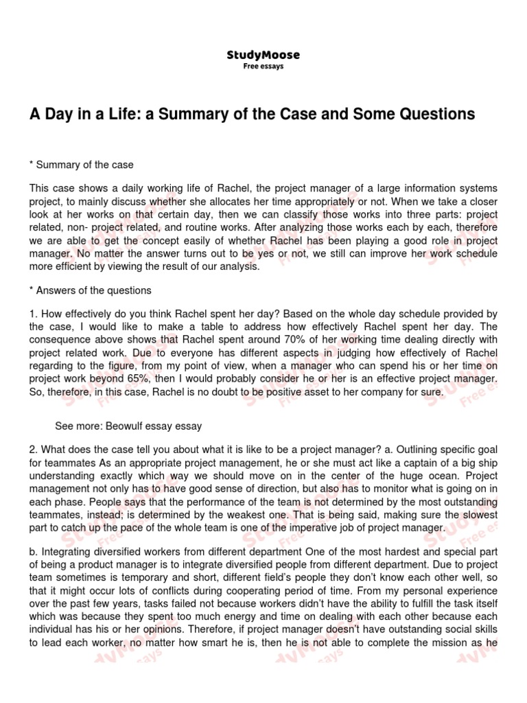 Analyzing Project Manager Rachel's Day | PDF | Marketing | Time