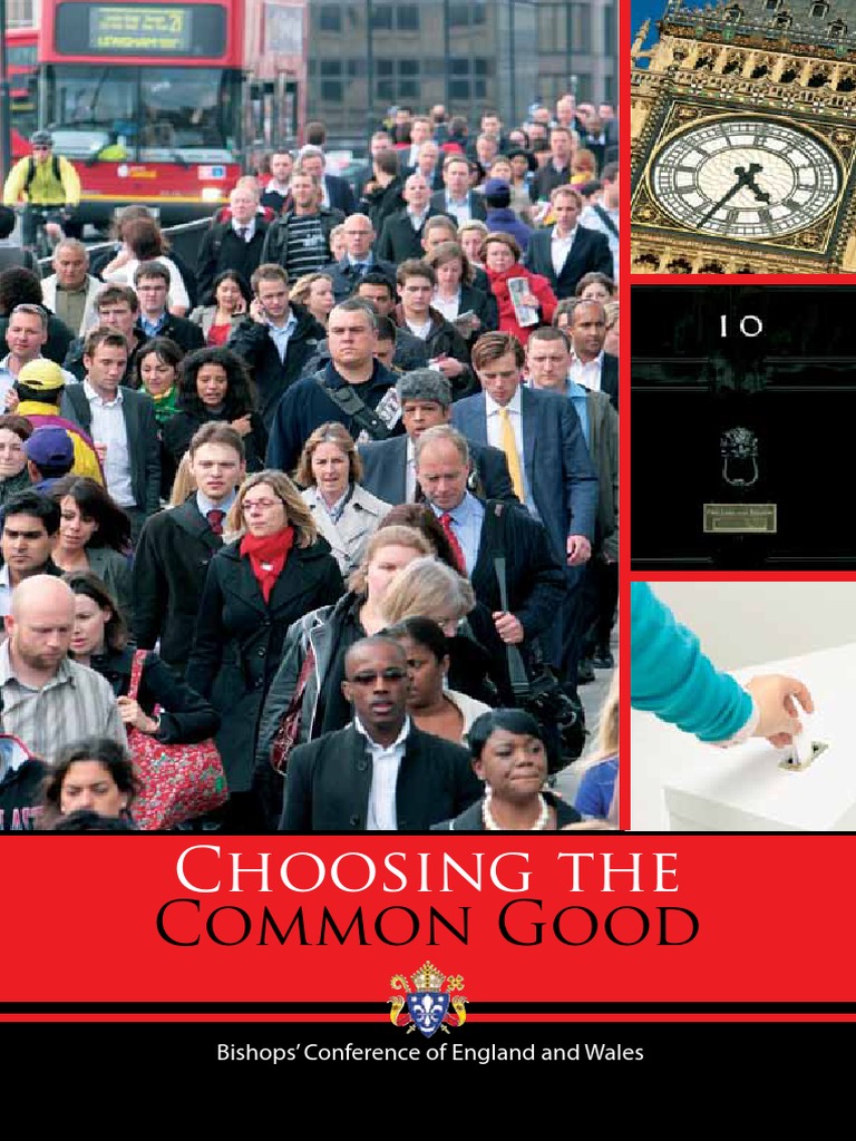 Choosing The Common Good PDF Virtue Catholic Social Teaching