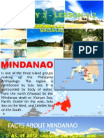 Zamboanga Peninsula Province Maps | PDF