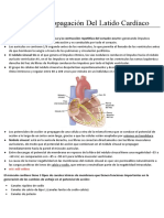 08 Latido Cardiaco