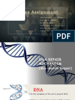 DNA Repair Mechanism