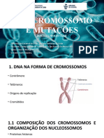 Dna, Cromossomo e Mutações (Salvo Automaticamente)