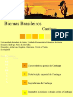 Caatinga - Ecologia 2