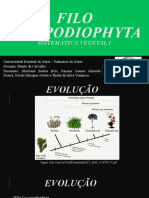 Filo Lycopodiophyta (1) (1) (1)