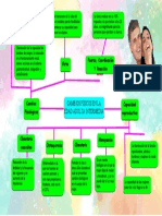 Cambios Físicos en La Edad Adulta Intermedia