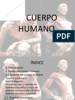EL CUERPO HUMANO16-3-15