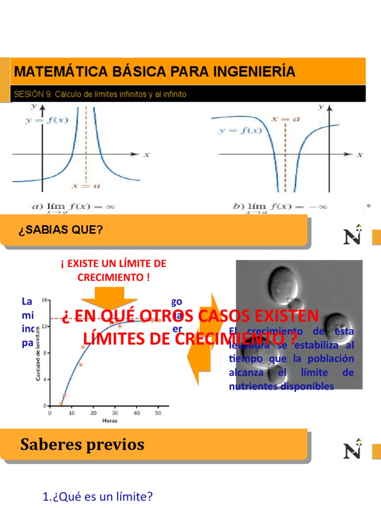 Límites al Infinito en Matemáticas | PDF | Límite (Matemáticas) | infinito