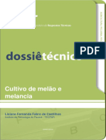 Cultivo de melão e melancia