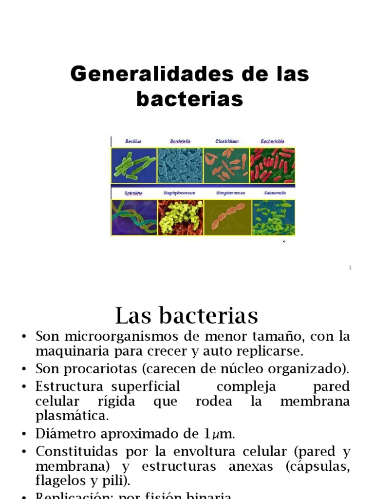 Estructura y Funciones de las Bacterias | PDF | Las bacterias ...
