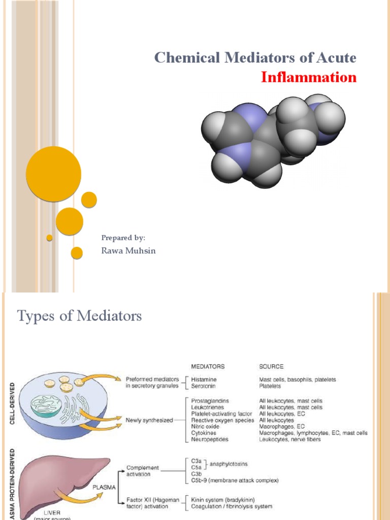 Chemical Mediators of Acute Inflammation Presentation PDF
