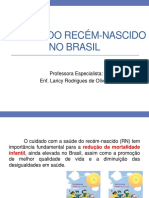 2- A SAÚDE DO RECÉM-NASCIDO NO BRASIL-1