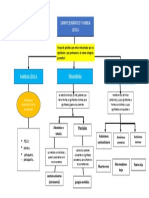 Mapa Conceptual Plantilla 05